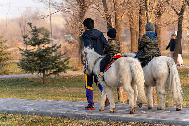 Children are sitting on a horse, smiling and enjoying an outdoor activity