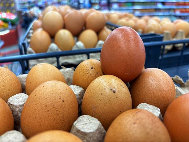 Brown Chicken Eggs in Cartons at Grocery Store