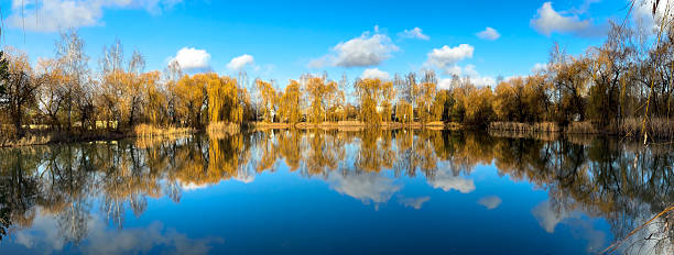 A lake with trees in the background. The water is calm and clear. The sky is blue with some clouds