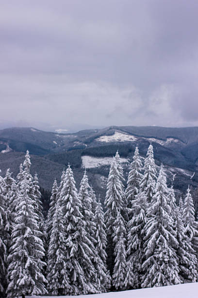 istock Snowy winter in mountains highland 2249501139