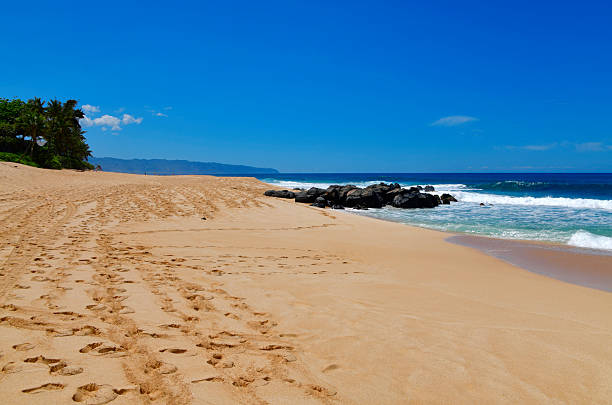 Pupukea, Oahu, Hawaii, USA: A wide-angle view of the golden sandy shoreline at Pupukea Beach Park on Oahu's famous North Shore. The foreground features numerous human footprints and tire tracks imprinted in the soft sand. A cluster of black volcanic rocks sits at the water's edge where turquoise waves and white foam crash against the shore. To the left, lush green vegetation and palm trees line the coast. In the distance, the rugged coastline fades into the horizon under a clear, vibrant blue sky.