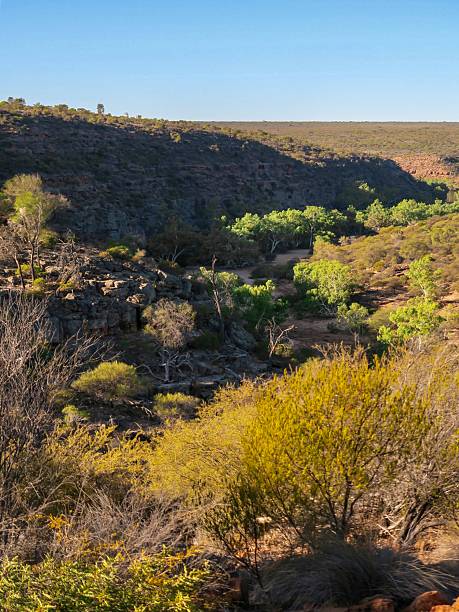 istock The Murchison River Gorge in Western Australia at Golden Hour 2249505589