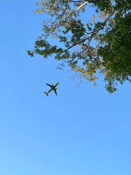 istock An airplane in the sky against a tree 2249510239