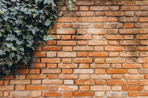 istock Old brick wall with green ivy in Venice Italy 2249512845