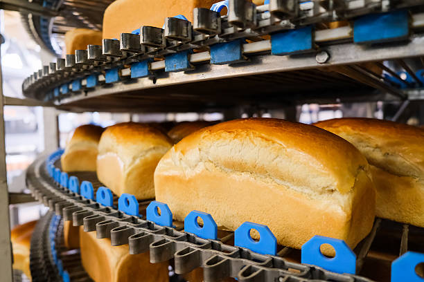 Loafs of bread in a bakery on an automated conveyor belt. Bread production. Food industry