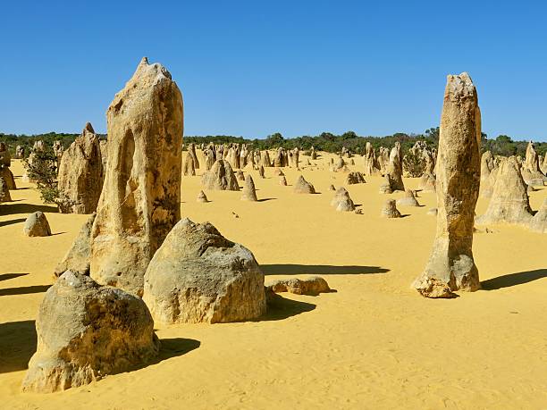 istock The Pinnacles, Limestone Pillars in a Western Australian Desert 2249513246