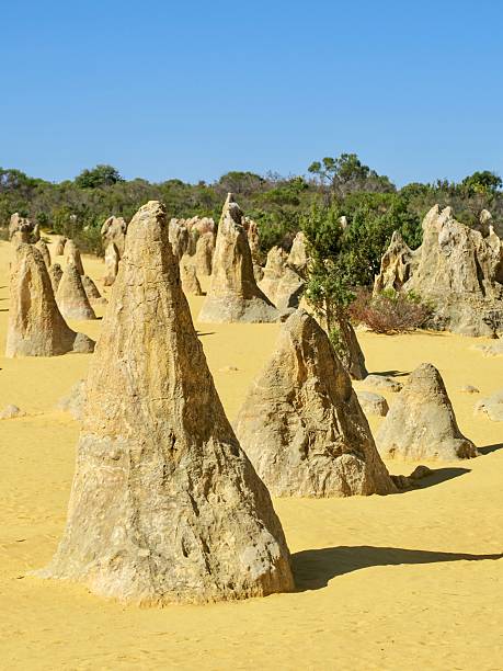 istock The Pinnacles, Limestone Pillars in a Western Australian Desert 2249513439