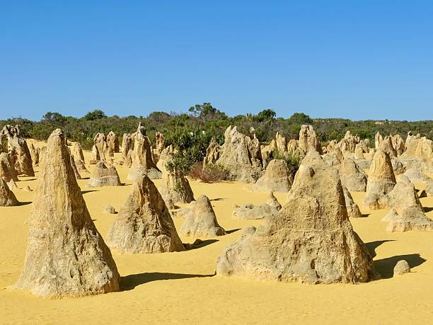 istock The Pinnacles, Limestone Pillars in a Western Australian Desert 2249513464