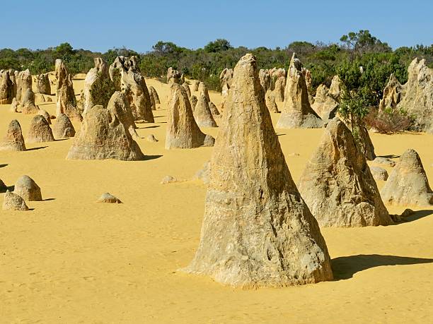 istock The Pinnacles, Limestone Pillars in a Western Australian Desert 2249513489