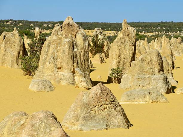 The Pinnacles are thousands of variously-shaped limestone pillars in the middle of the desert in Nambung National Park, Western Australia.