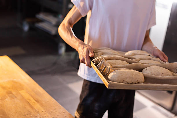 Close up view of professional baker in white t-shirt holding wooden tray full of raw sourdough bread dough loaves. Dough rests in proofing cloth, showing readiness for baking. Warm light illuminates hands and dough. Background shows blurred commercial kitchen equipment and wooden countertop. Scene conveys artisanal bread production.