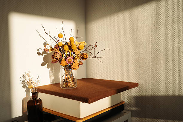 Vases with dried flower bouquets in direct morning sunlight on a table. Everyday home interior scene showing natural light and simple decoration. Concept of home, lifestyle, decor, interior, minimal.