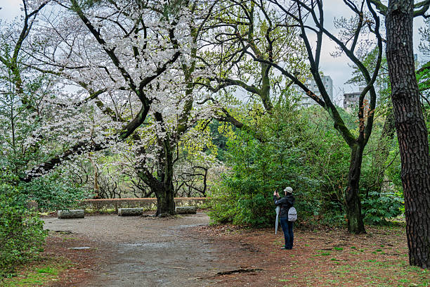 istock Woman explores urban park in springtime, Tokyo 2249516530