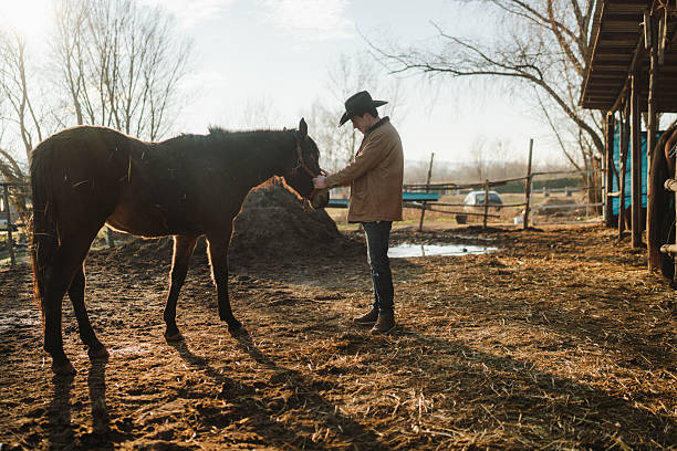 Young cowgirl petting horse on family ranch