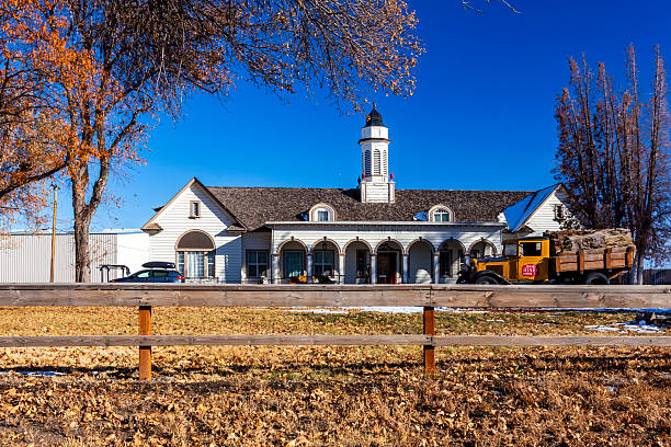 This photograph captures a view of the historic train tracks and vintage railcars in Fillmore, California, with the rugged, dry hills serving as a backdrop. In the foreground, a tree-lined sidewalk with decorative streetlights suggests a charming town setting. Beyond the tracks, a bright red train car and a yellow locomotive are visible, hinting at the area's rich railway heritage, likely associated with the Fillmore & Western Railway. The warm, golden hues of the trees suggest a late summer or early autumn day, complementing the earthy tones of the distant mountains.