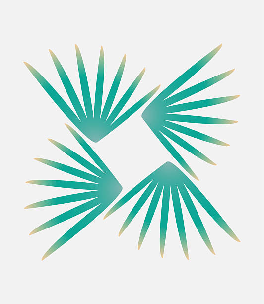 color Palm leaf pattern illustration