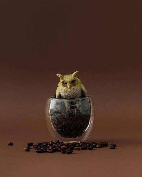 Creative surreal owl and coffee beans composition against brown background. Minimal coffee concept. Unique still life photo.