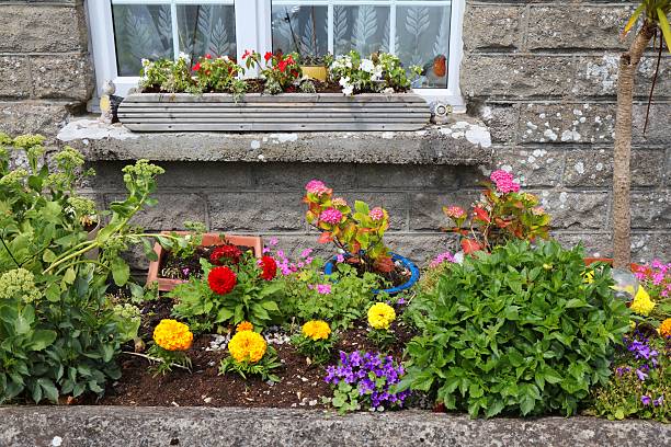 Flowers in Window box