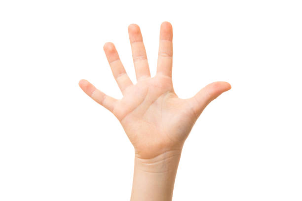 istock Little child hand showing five fingers isolated on white background. Front view. 2249538228
