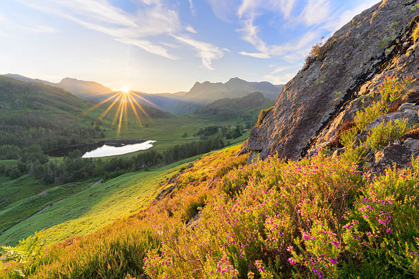 Vibrant summer sunset overlooking Blea Tarn and The Langdale Pikes mountain in The Lake District National Park.