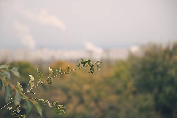 The city withered in autumn