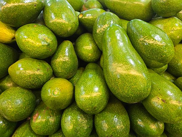 istock High Quality Tropical Fruits Images 2249546158