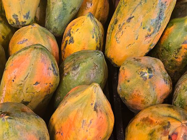 istock High Quality Tropical Fruits Images 2249546279
