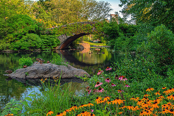 istock Gapstow Bridge in Central Park, summer morning 2249547051