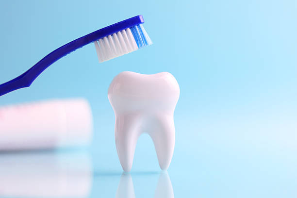 Dentistry concept. Model of a tooth and dental instruments on a colored background with space for text. . High quality photo