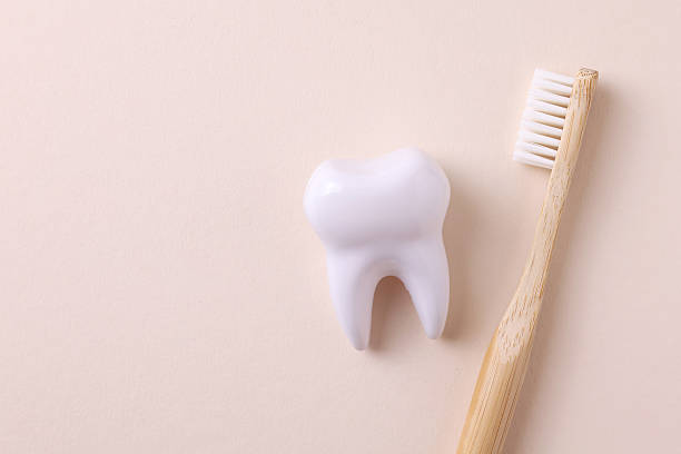 istock Dentistry concept. Model of a tooth and dental instruments on a colored background with space for text. 2249548210