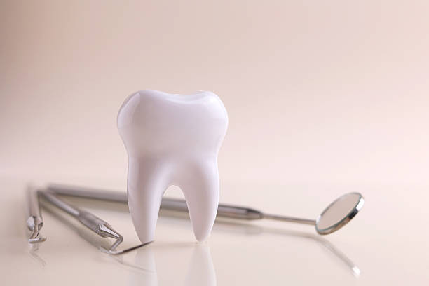 istock Dentistry concept. Model of a tooth and dental instruments on a colored background with space for text. 2249548270