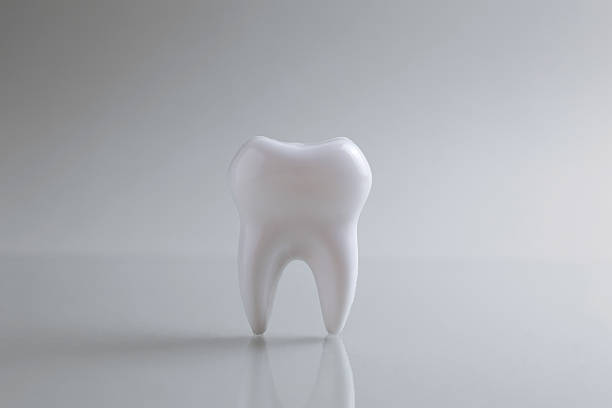 Dentistry concept. Model of a tooth and dental instruments on a colored background with space for text. . High quality photo