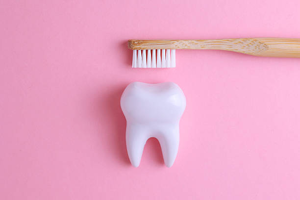 istock Dentistry concept. Model of a tooth and dental instruments on a colored background with space for text. 2249548320