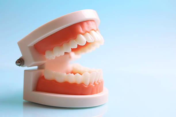 istock Dentist's tools and a dental model of teeth on a blue background close up 2249548347