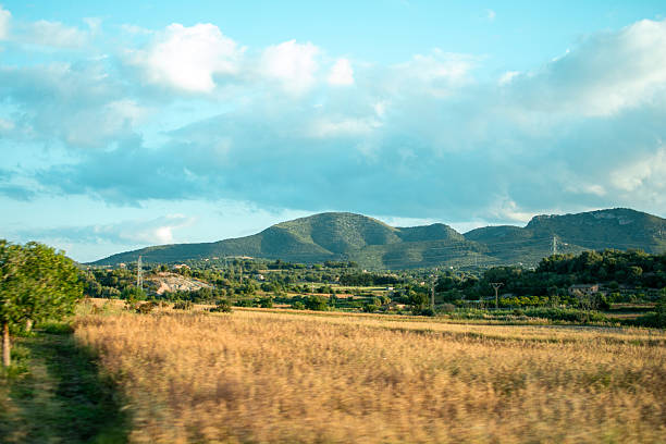 A peaceful view of Mallorca’s open countryside, featuring golden fields, distant green hills, and soft morning light breaking through scattered clouds. The scene highlights the island’s natural, unspoiled rural landscape.