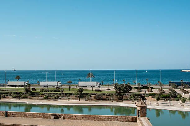 A wide panoramic view of the vivid blue Mediterranean, framed by the palm trees and water features of Palma’s Parc de la Mar. Clean lines, open sky, and calm water convey a serene coastal vibe.