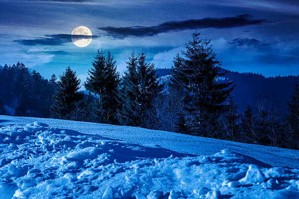 istock winter landscape in mountains at night 2249551306
