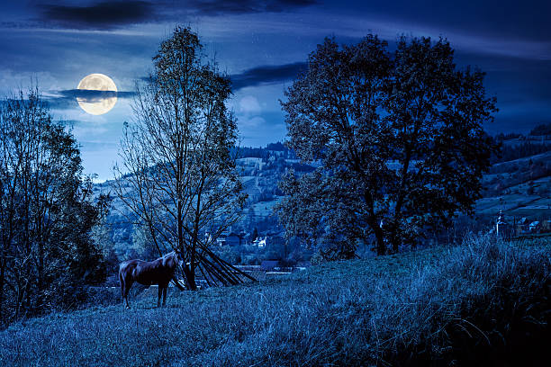 A dramatic night sky with clouds partially obscuring the moonlight
