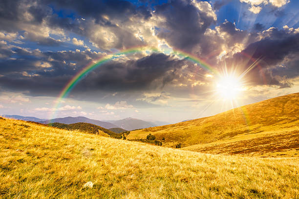 istock landscape with grassy meadow at sunset 2249551768
