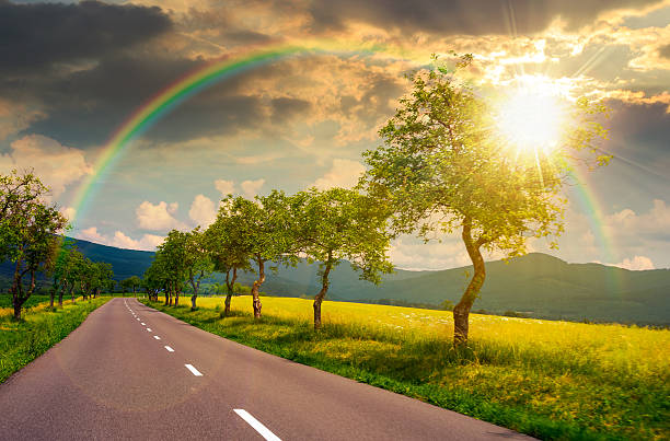 trees along the country road in to mountains at sunset. beautiful summer landscape with epic clouds in evening light. motion blur effect. leadership corporate wallpaper under the rainbow