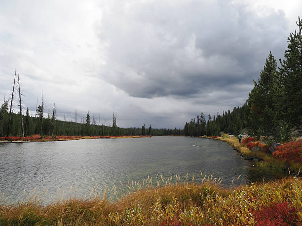 lake view with sky reflection in the water, Hayden Valley
