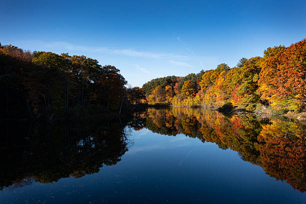 istock Fall at Durand Eastman Park 2249554040