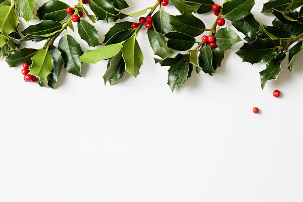 istock Real, freshly picked holly branches with green leaves and bright red berries on a white background. Winter natural decoration. 2249554490