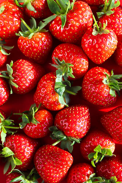 Full frame image of pile of whole fresh red strawberries with green leaves, red background, elevated view, health and wellbeing concept