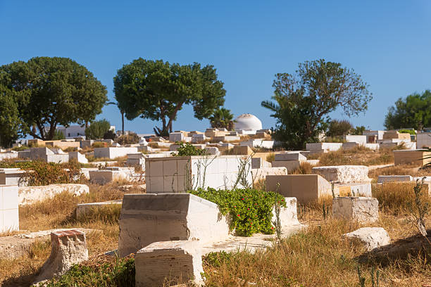 Sunlit stone graves on Monastir hillside, white domes and scattered olive trees, golden dry grass among weathered headstones, warm light casting long shadows,