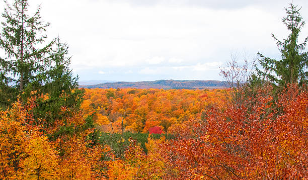 Canada Nova Scotia  central region Fall season colours,