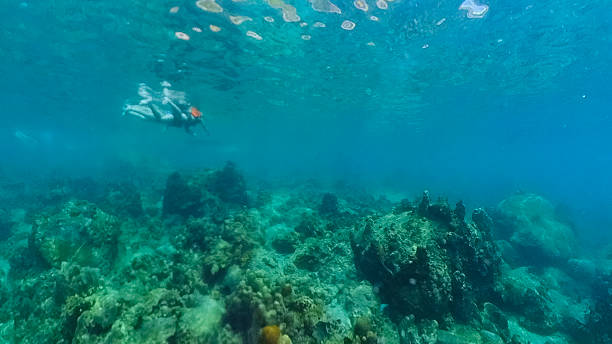istock Tourist Swimmers snorkelling on bright tropical reef in Ko Samui, Thailand 2249558121