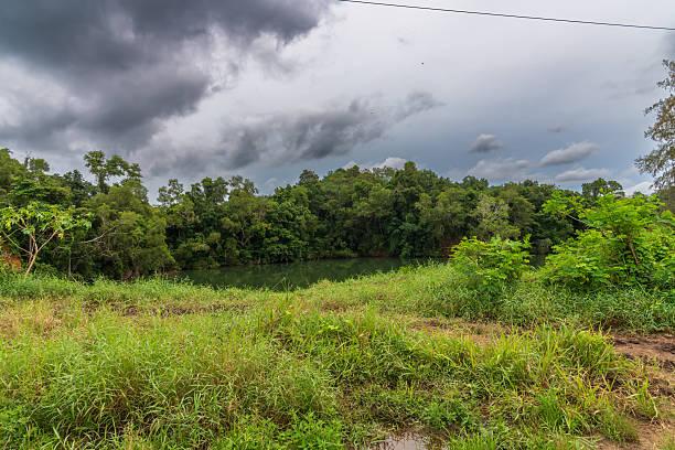 istock Cloudy Thai plains, Dark skies over lush fields, Gloomy monsoon sky above verdant meadows, Overcast weather with strong breezes over green grasslands and distant woodland 2249558182
