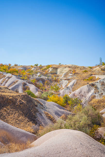 istock Colorful Autumn Trees on Soft Sandstone Hills Under Clear Blue Sky 2249558380