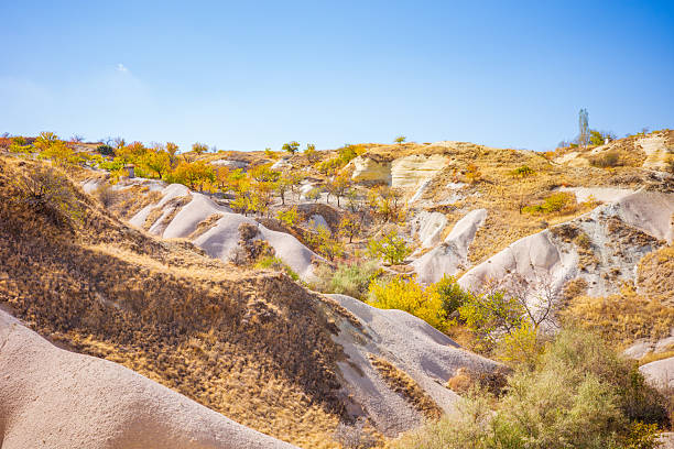 A colorful autumn landscape featuring rolling sandstone hills and scattered trees with bright yellow, orange, and green foliage. The smooth, eroded rock formations blend beautifully with the warm tones of the dry grass and shrubs. Set beneath a clear, cloudless blue sky, this landscape captures the natural beauty, geological uniqueness, and seasonal charm of semi-desert regions such as Cappadocia. Perfect for travel imagery, environmental storytelling, nature backdrops, and geological education